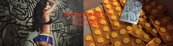 spice Алексеевка