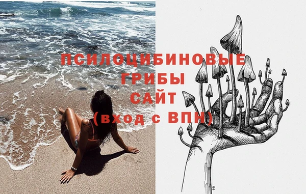 кокс Алексин